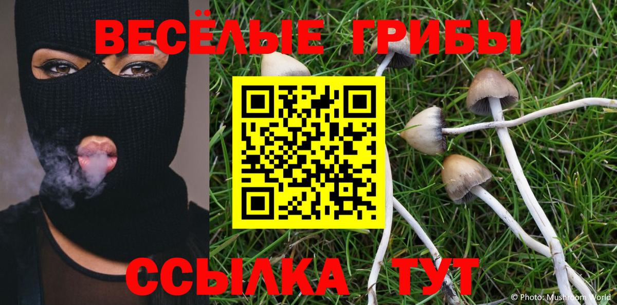 Галлюциногенные грибы Psilocybine cubensis Тихорецк