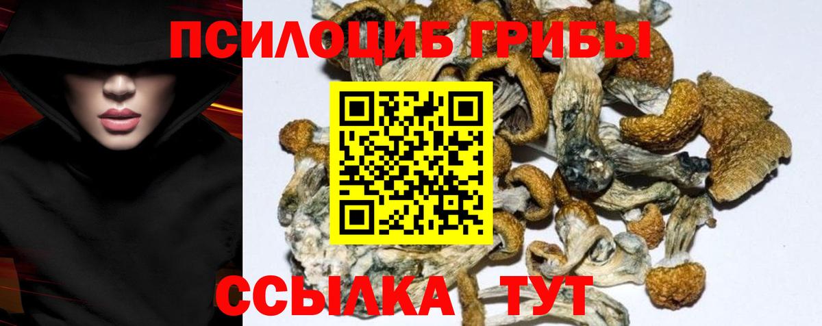 Галлюциногенные грибы Magic Shrooms  купить наркоту  Галлюциногенные грибы Magic Shrooms  Тихорецк  Вход с VPN 